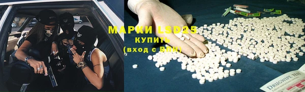 спайс Алзамай