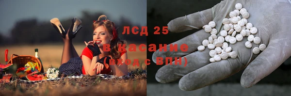 спайс Алзамай