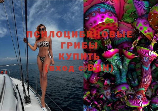Альфа ПВП Алексин